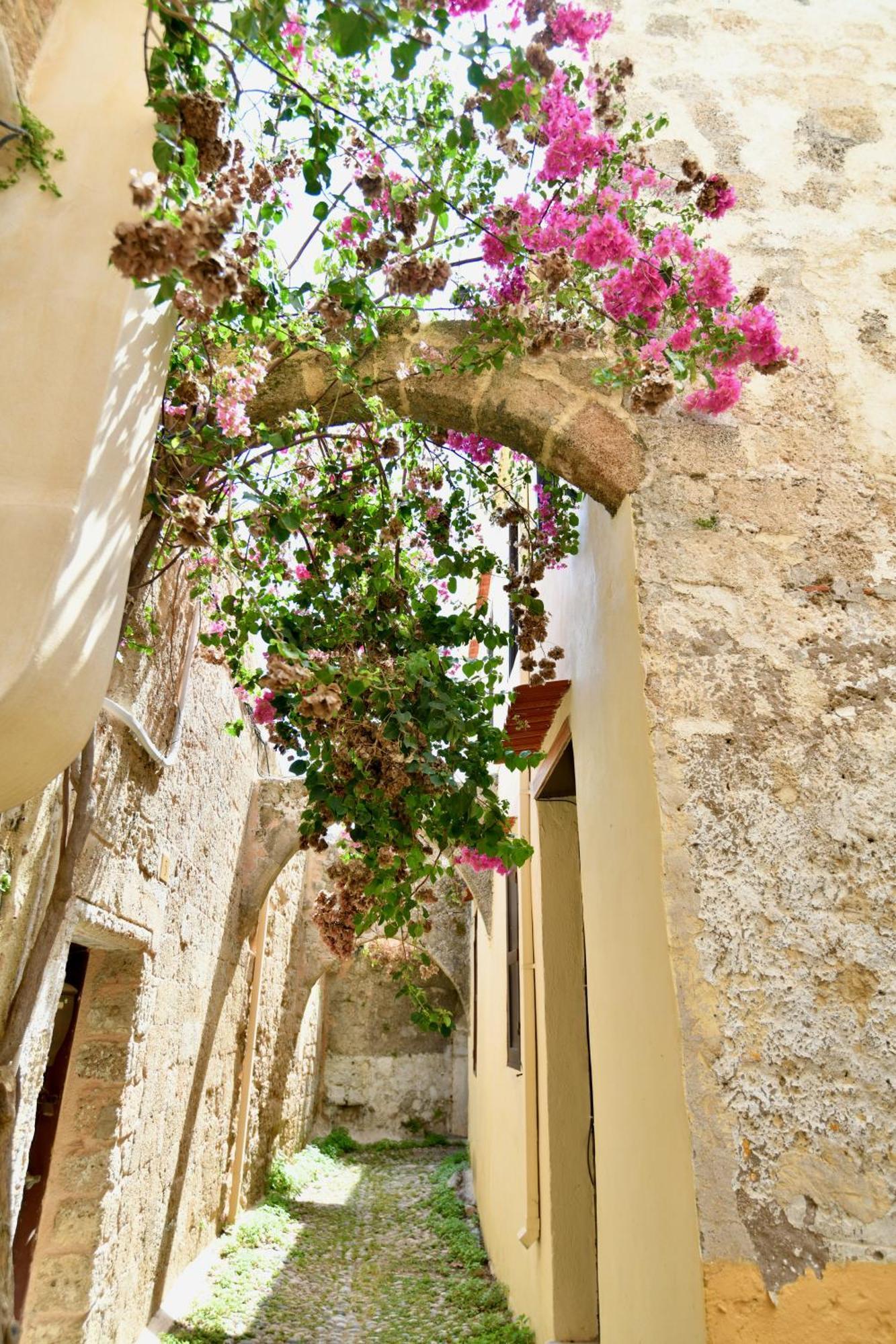 Ferienwohnung Penelope Garden House Old Town Rhodes City Exterior foto