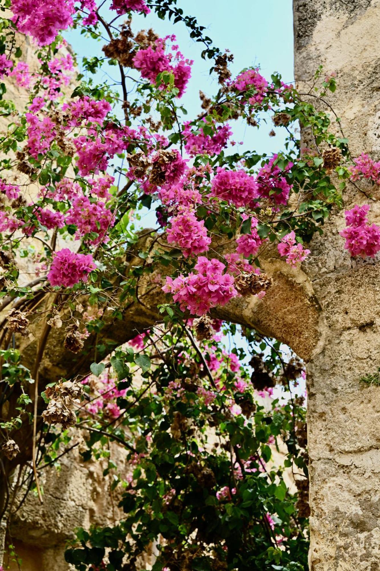 Ferienwohnung Penelope Garden House Old Town Rhodes City Exterior foto